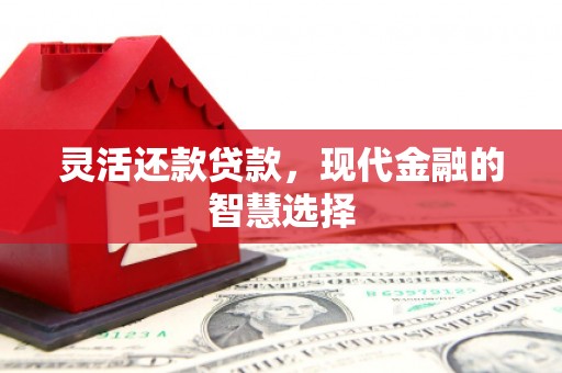 故城灵活还款贷款，现代金融的智慧选择