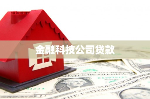 平陆金融科技公司贷款
