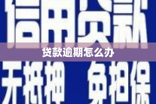 南木林贷款逾期怎么办