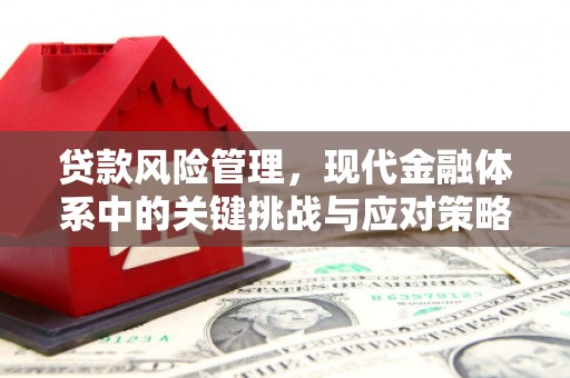 东城贷款风险管理，现代金融体系中的关键挑战与应对策略