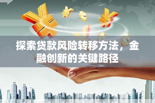 双柏探索贷款风险转移方法，金融创新的关键路径