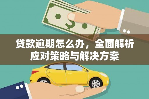 遂溪贷款逾期怎么办，全面解析应对策略与解决方案