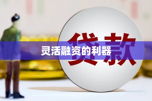 望奎灵活融资的利器