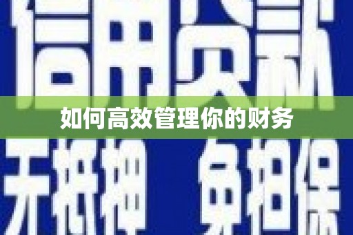 法库如何高效管理你的财务