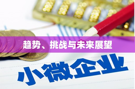企石趋势、挑战与未来展望