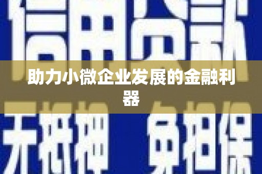 威宁助力小微企业发展的金融利器